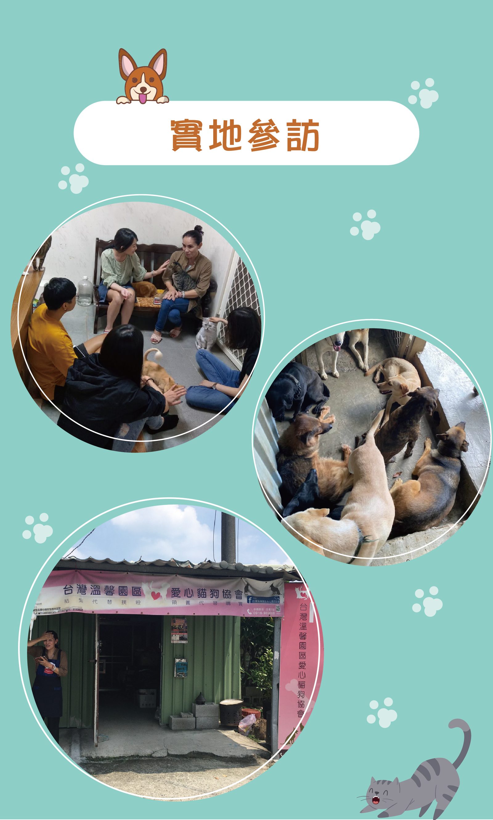 億家俱實地參訪流浪動物之家
