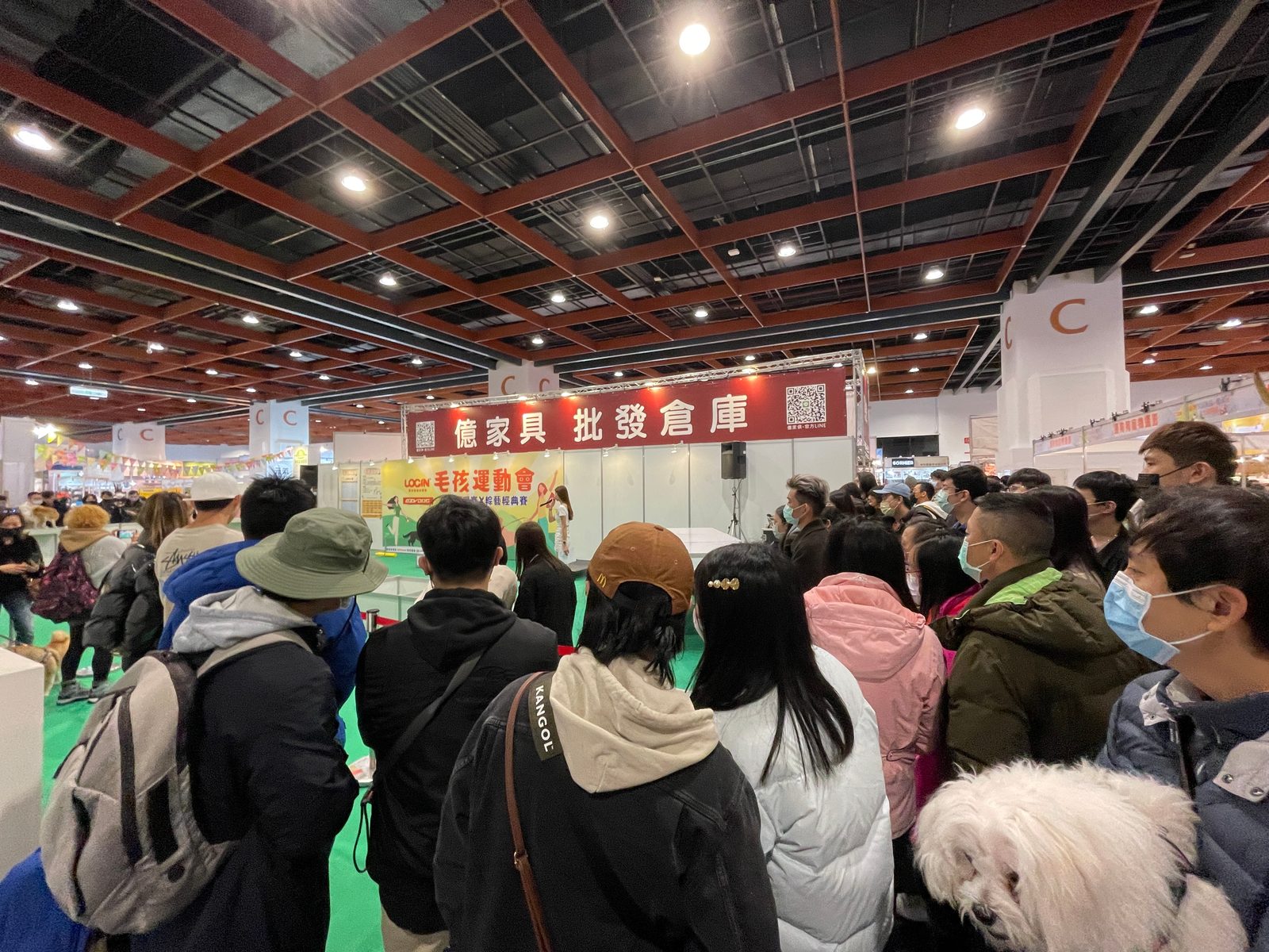 【寵物展】(30)