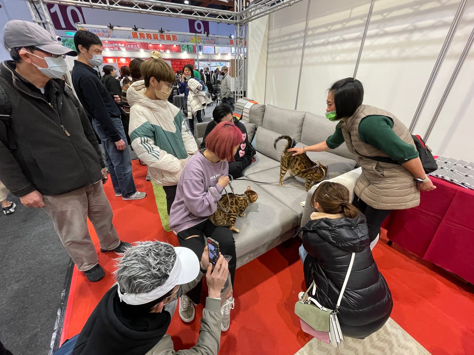 【寵物展】(36)