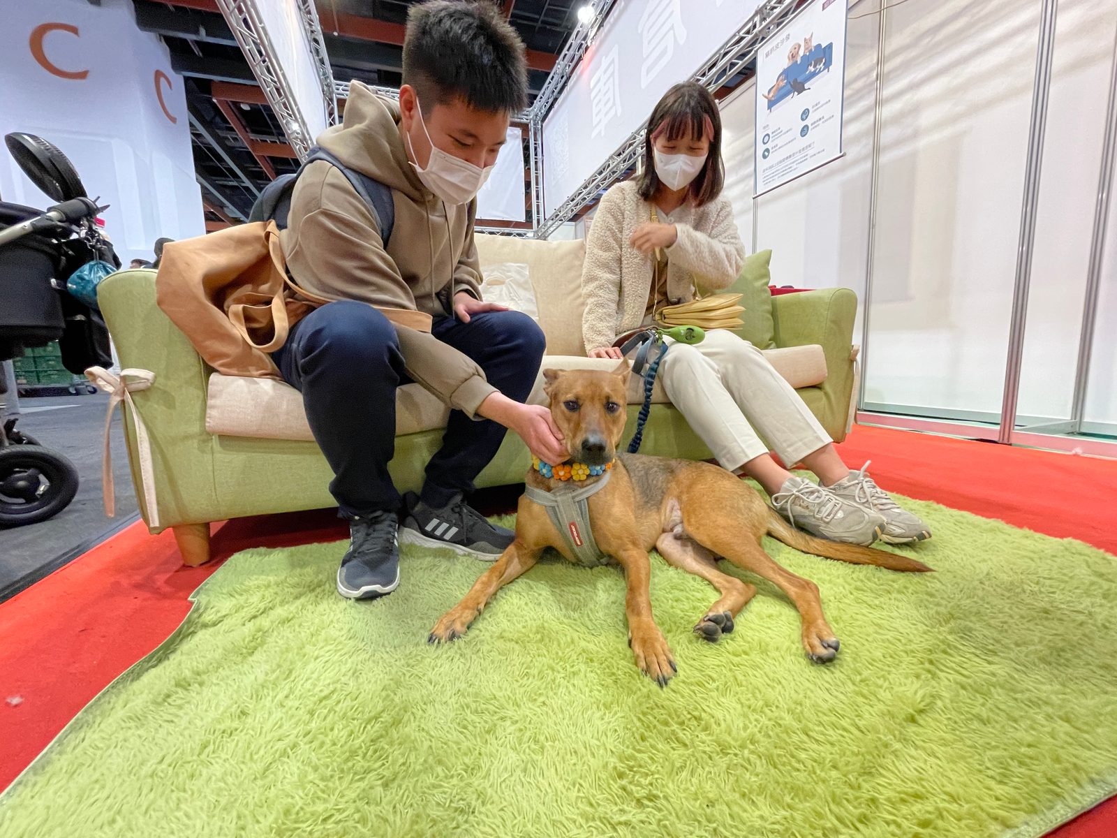 【寵物展】(60)