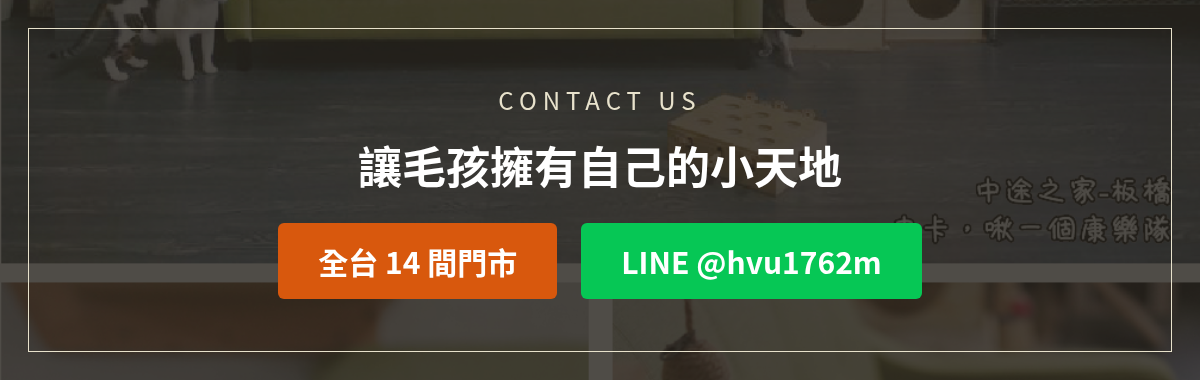 億家俱客製寵物櫃洽詢:加LINE @hvu1762m或撥打全台14間門市