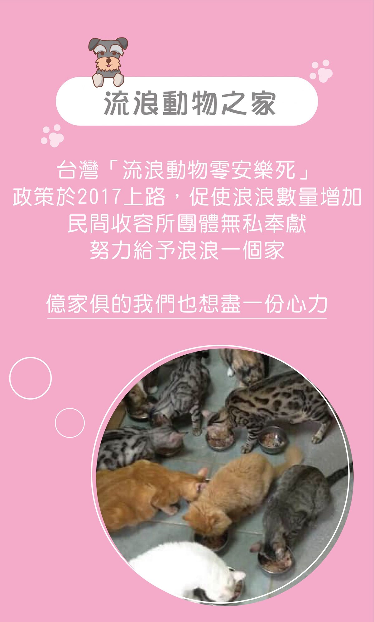 億家俱捐贈沙發給流浪動物之家（3）